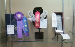 Bobbin lace display